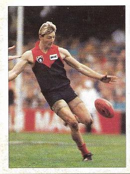 1992 Select AFL Stickers #161 Stephen Tingay Front
